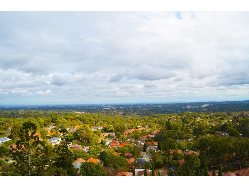 81/14 brown Street, Chatswood NSW 2067