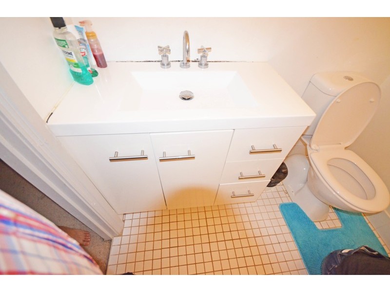 17/43  Hereford Street, Glebe NSW 2037