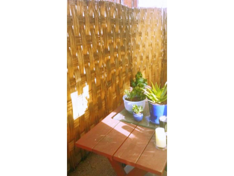 Bondi Beach NSW 2026