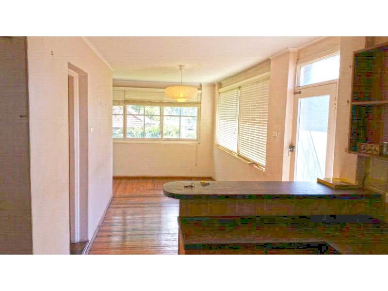 13 Francis Street, Naremburn NSW 2065