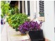 46 Bennett Street, Surry Hills NSW 2010