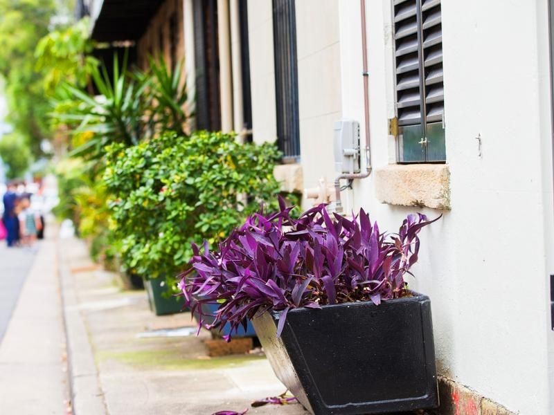 46 Bennett Street, Surry Hills NSW 2010