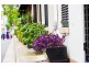 46 Bennett Street, Surry Hills NSW 2010