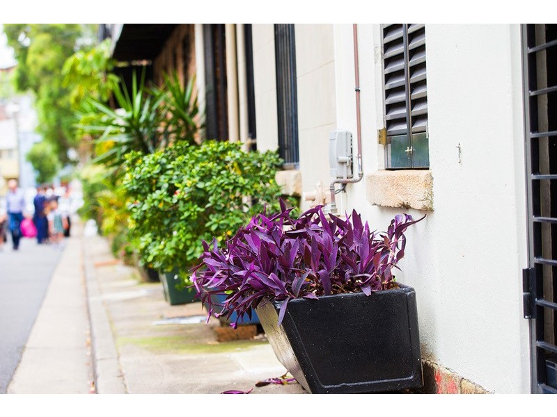46 Bennett Street, Surry Hills NSW 2010