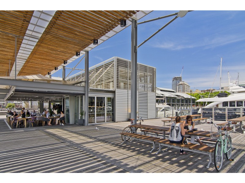 56 Pirrama Road, Pyrmont NSW 2009