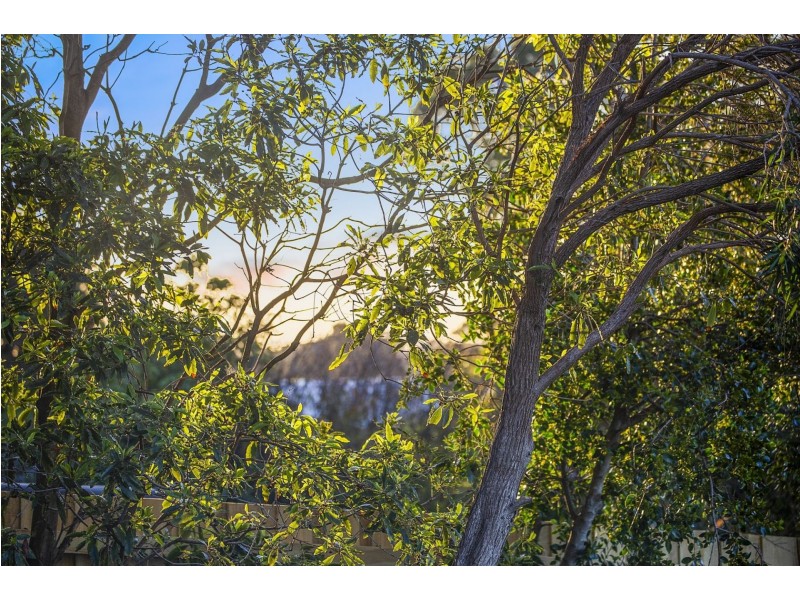 82 Lake Avenue, Ocean Grove VIC 3226