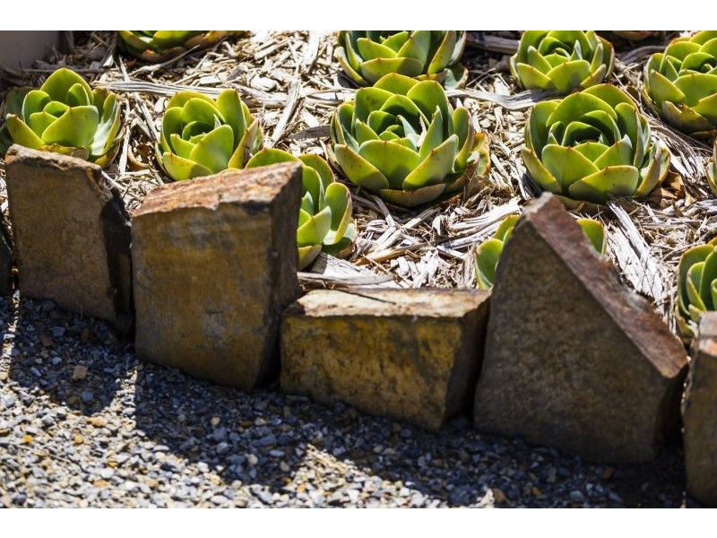 44 Hardings Road, Wallington VIC 3221