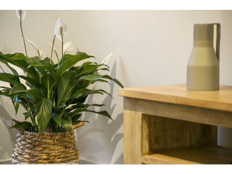 13 Eddystone Court, Barwon Heads VIC 3227