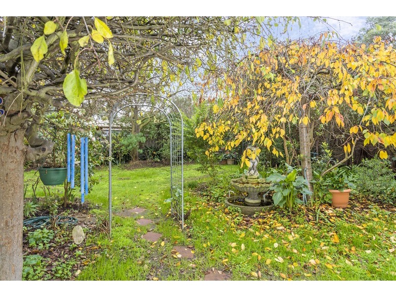 21 Richard Avenue, Ocean Grove VIC 3226