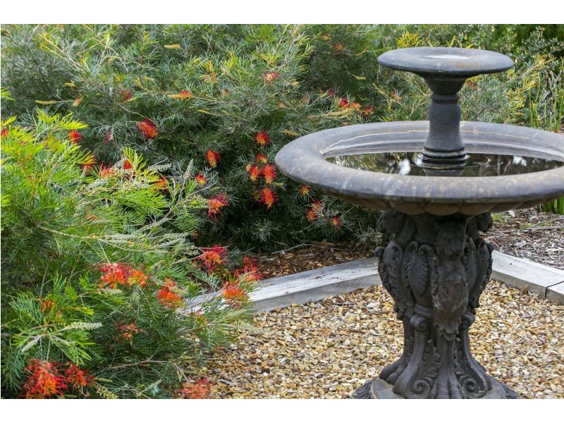 57-61 Goandra Drive, Ocean Grove VIC 3226