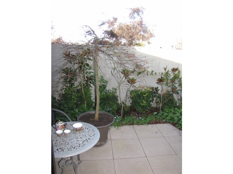 51 Seabank Drive, Barwon Heads VIC 3227