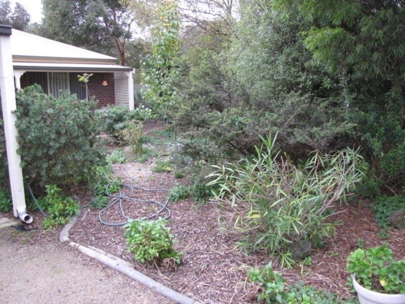 93  Sheepwash Road, Barwon Heads VIC 3227