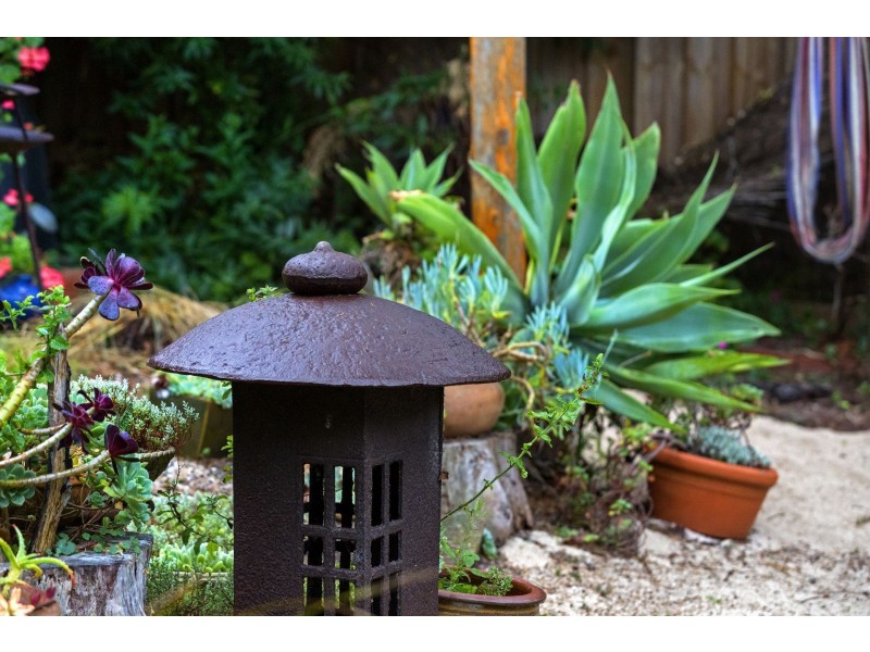 16 Kestrel Place, Ocean Grove VIC 3226