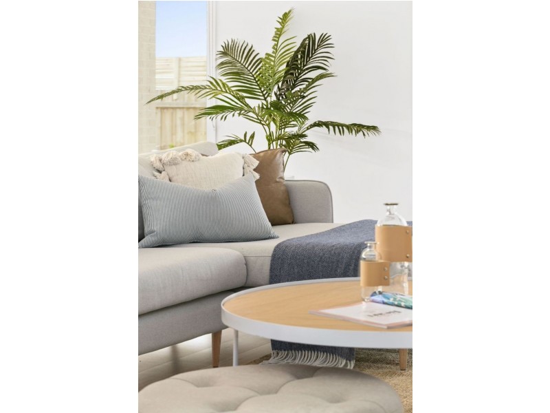 14 Coramba Street, Ocean Grove VIC 3226