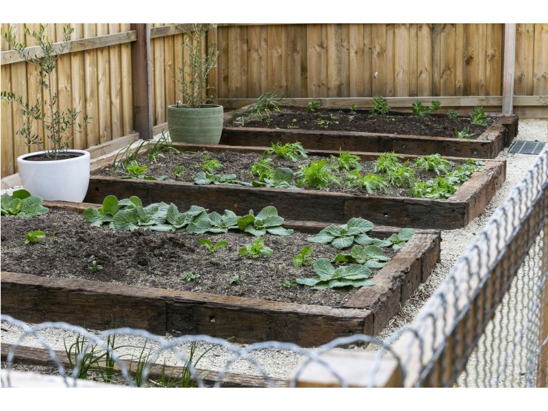 14 Coramba Street, Ocean Grove VIC 3226