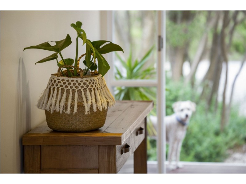 19-20 Warrenbeen Court, Barwon Heads VIC 3227