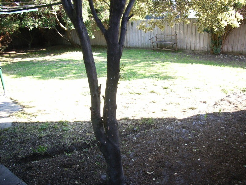 77 Sheepwash Road, Barwon Heads VIC 3227