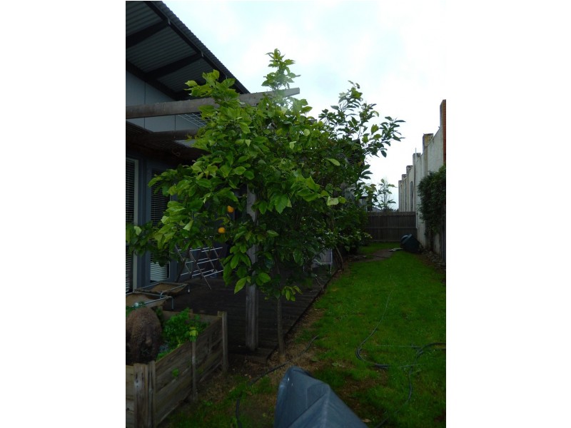 7/65 Golf Links Road, Barwon Heads VIC 3227