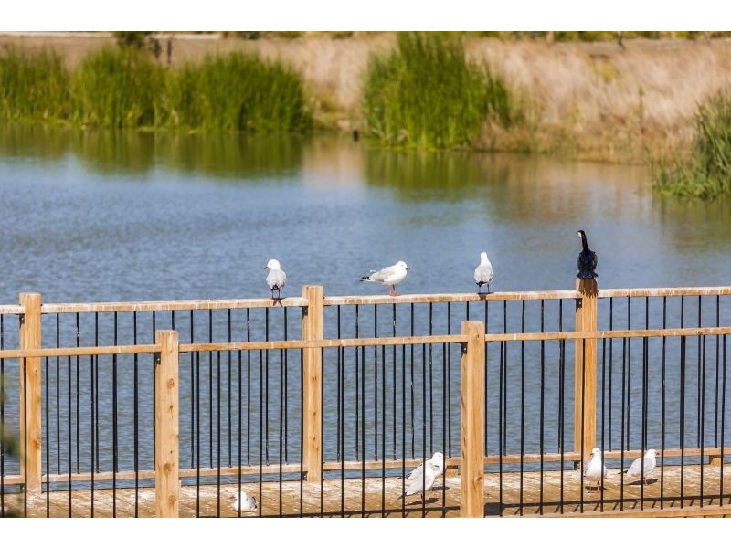 2/46-48 Evergreen Circuit, Ocean Grove VIC 3226