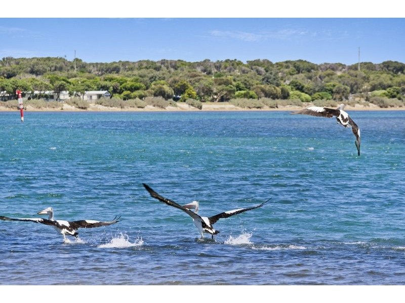 1/8 Guthridge Street, Ocean Grove VIC 3226