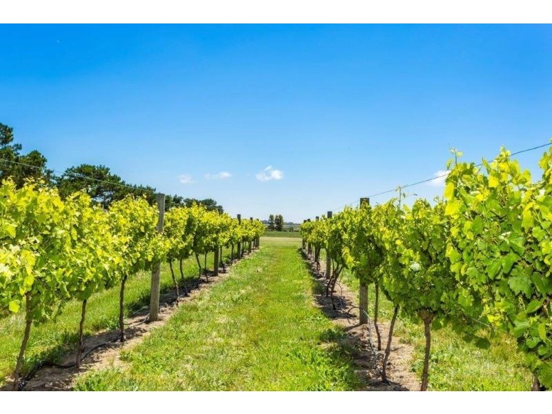 1452-1500 Barwon Heads Road, Barwon Heads VIC 3227