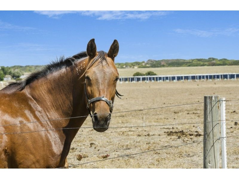 505 Bluestone School Road, Barwon Heads VIC 3227