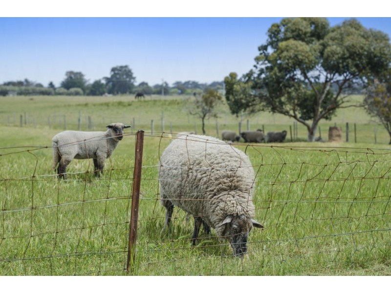 135 Taits Road, Barwon Heads VIC 3227