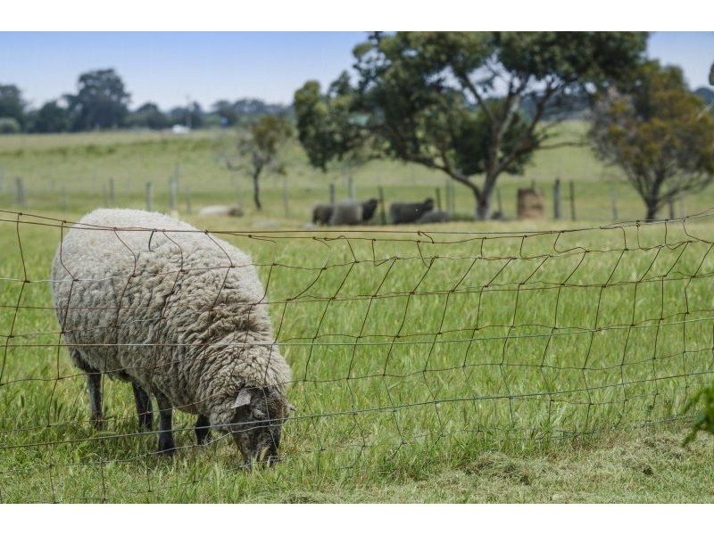 135 Taits Road, Barwon Heads VIC 3227