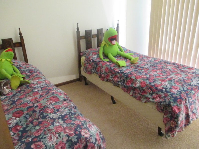 8 Platypus Court, Ocean Grove VIC 3226