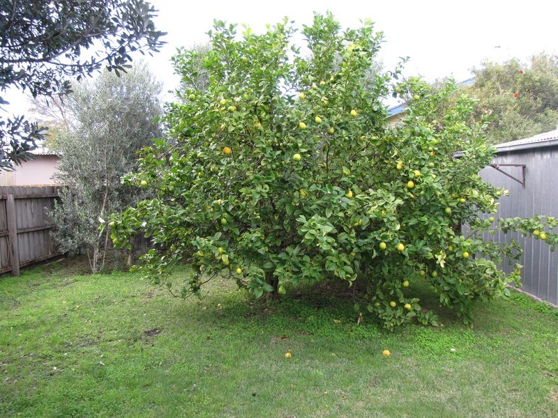 74  Golf Links Rd, Barwon Heads VIC 3227