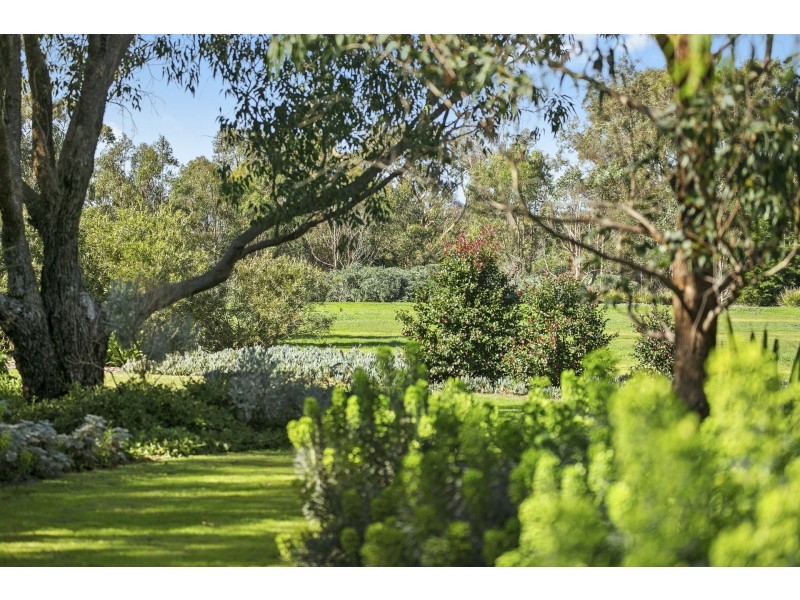 15 Staceys Road, Barwon Heads VIC 3227