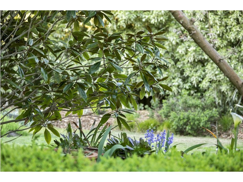 12-14 Eccles Road, Ocean Grove VIC 3226