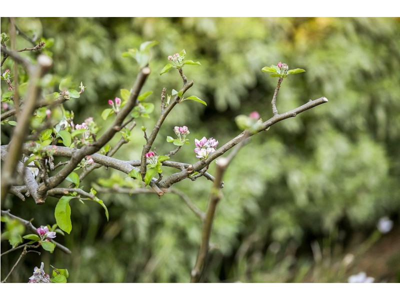 12-14 Eccles Road, Ocean Grove VIC 3226