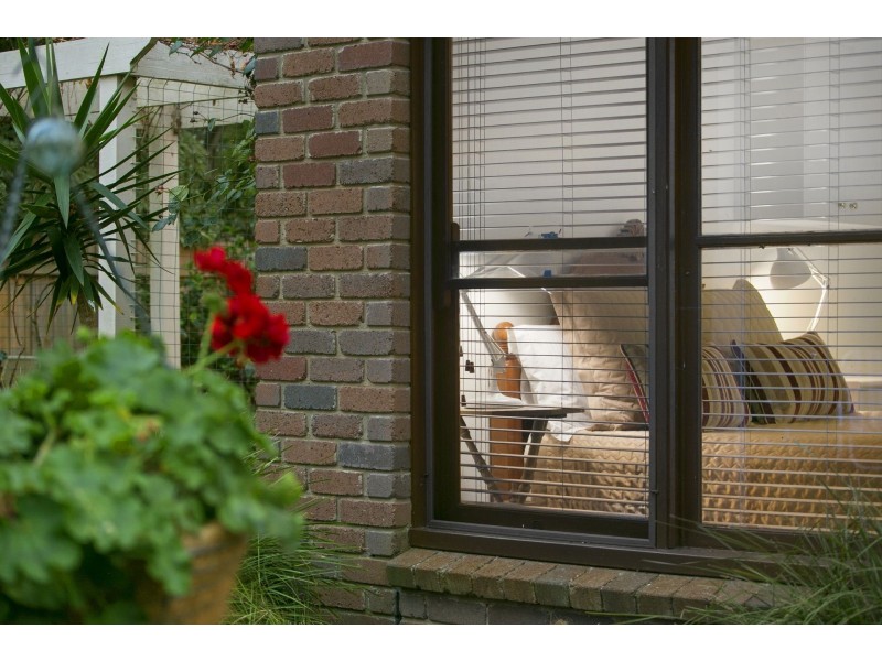 14 Dubourg Court, Ocean Grove VIC 3226