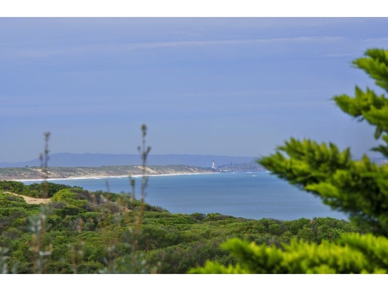 98 Orton Street, Ocean Grove VIC 3226