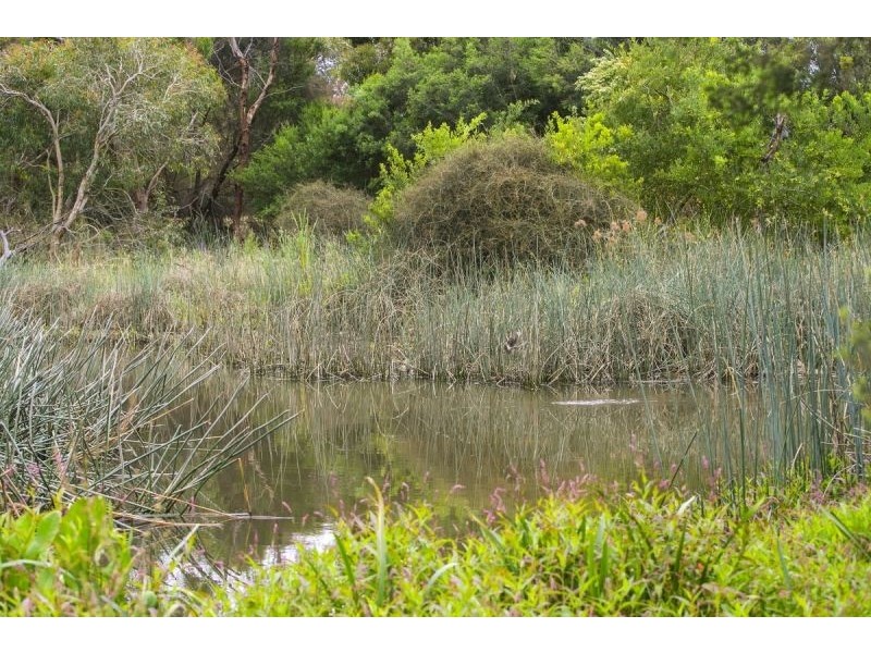 5 Tarnalla Place, Ocean Grove VIC 3226