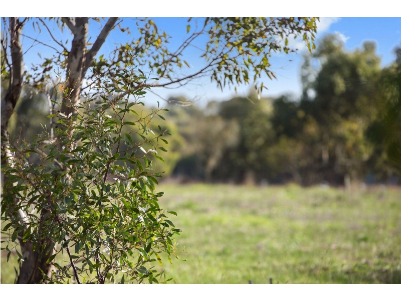 135 Bluestone School Road, Connewarre VIC 3227