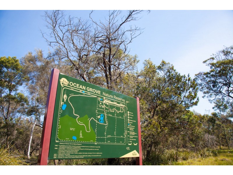 17 Alcandre St, Ocean Grove VIC 3226