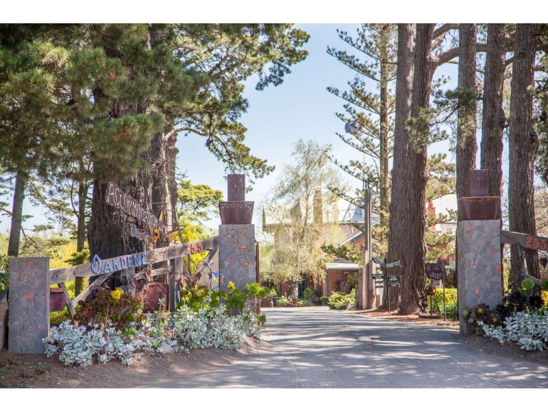 17 Alcandre St, Ocean Grove VIC 3226