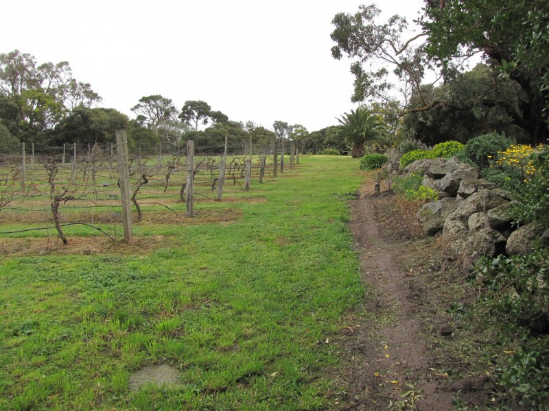 245 Dans Road, Connewarre VIC 3227