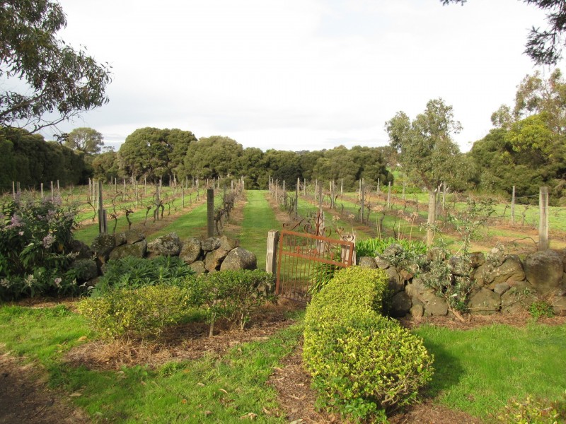 245 Dans Road, Connewarre VIC 3227