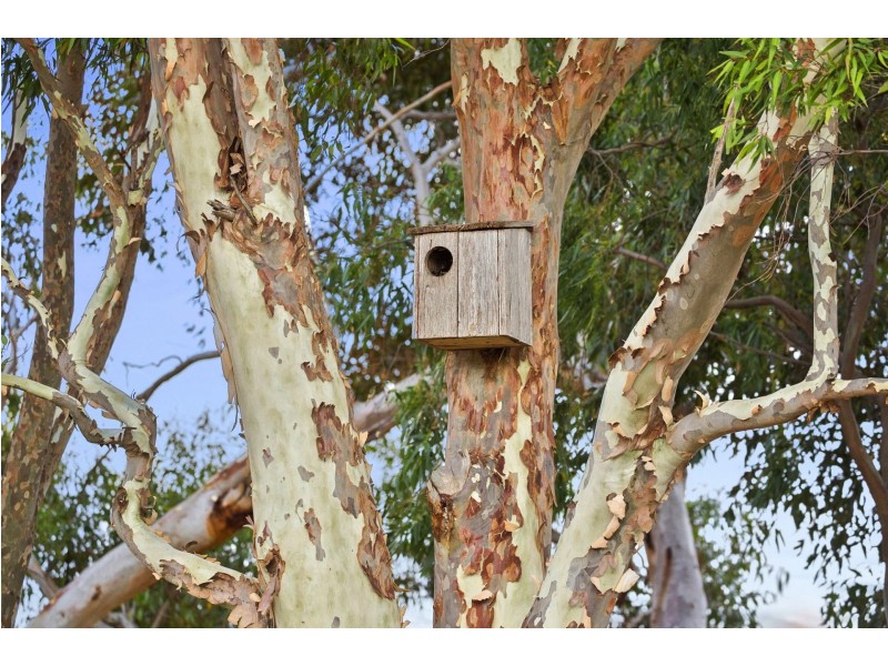 521-529 Queenscliff Road, St Leonards VIC 3223