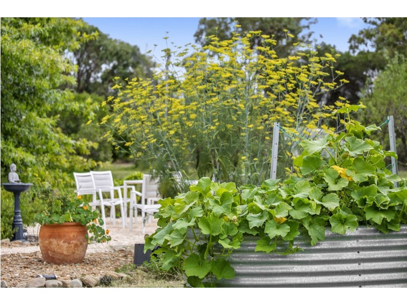 521-529 Queenscliff Road, St Leonards VIC 3223