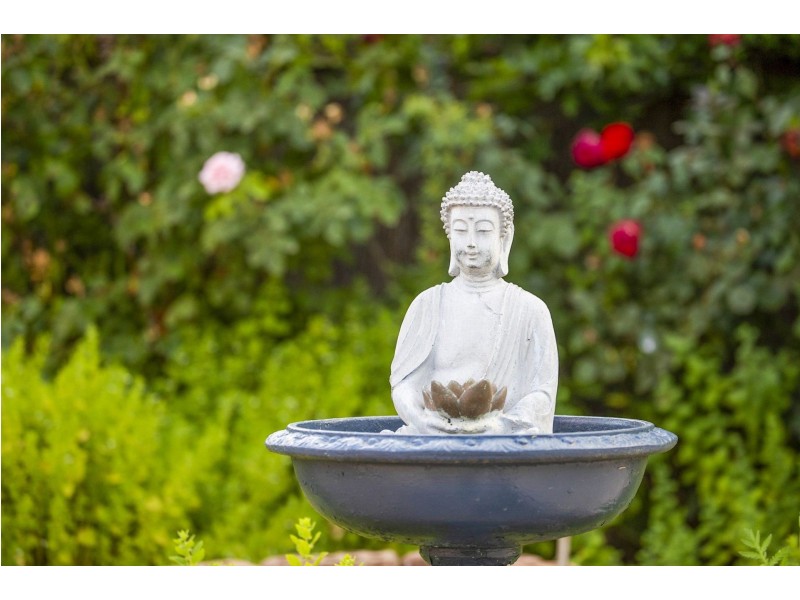 521-529 Queenscliff Road, St Leonards VIC 3223