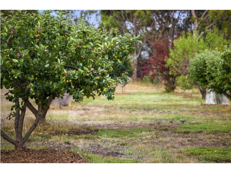 521-529 Queenscliff Road, St Leonards VIC 3223