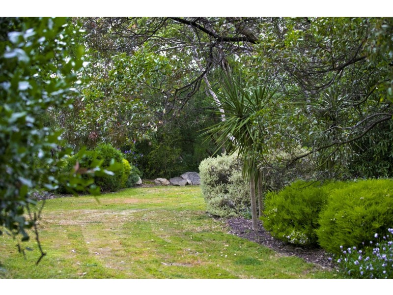 32 Woodlands Drive, Ocean Grove VIC 3226