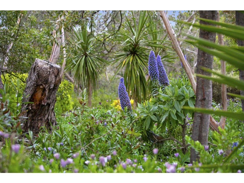 32 Woodlands Drive, Ocean Grove VIC 3226