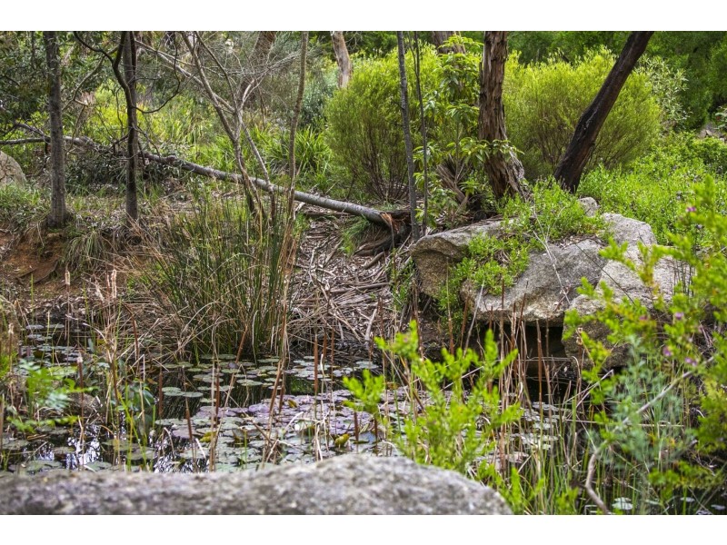 32 Woodlands Drive, Ocean Grove VIC 3226