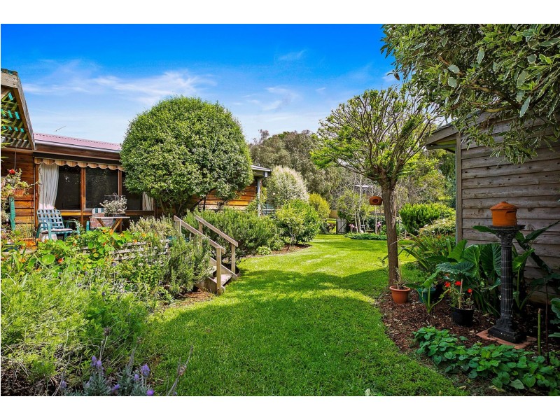 31 Kalinga Road, Ocean Grove VIC 3226