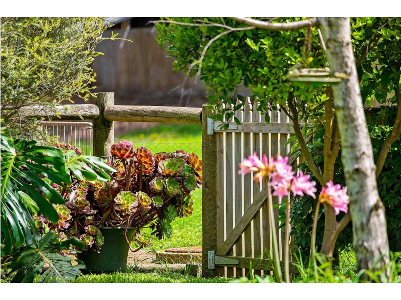 31 Kalinga Road, Ocean Grove VIC 3226